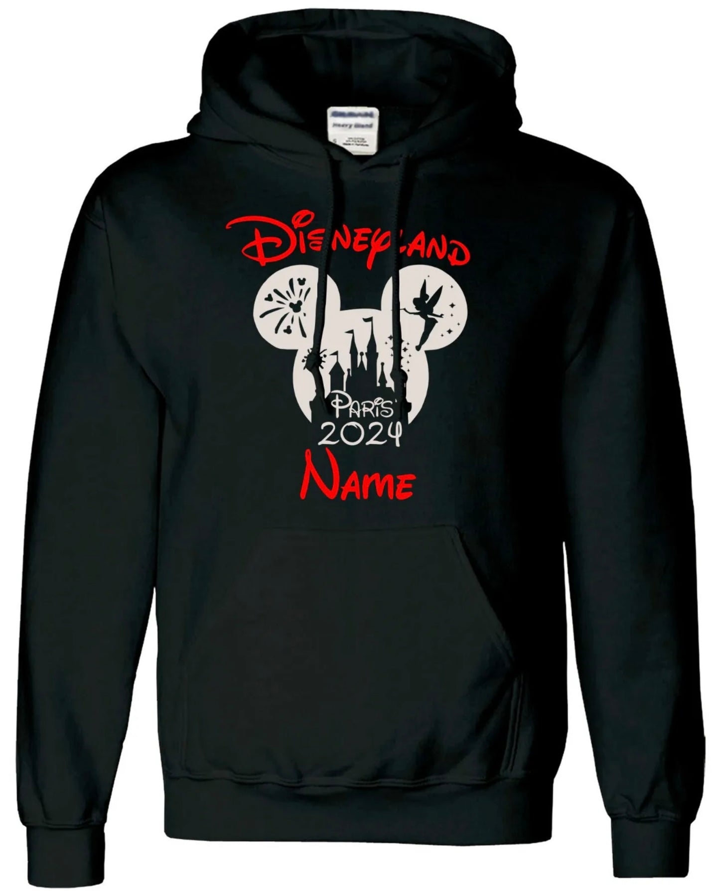 D!sney Land Hoodie All Sizes