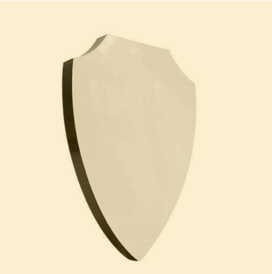 Shield Trophy Wall Hanging